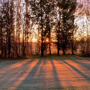 Meet your Posher, Ann